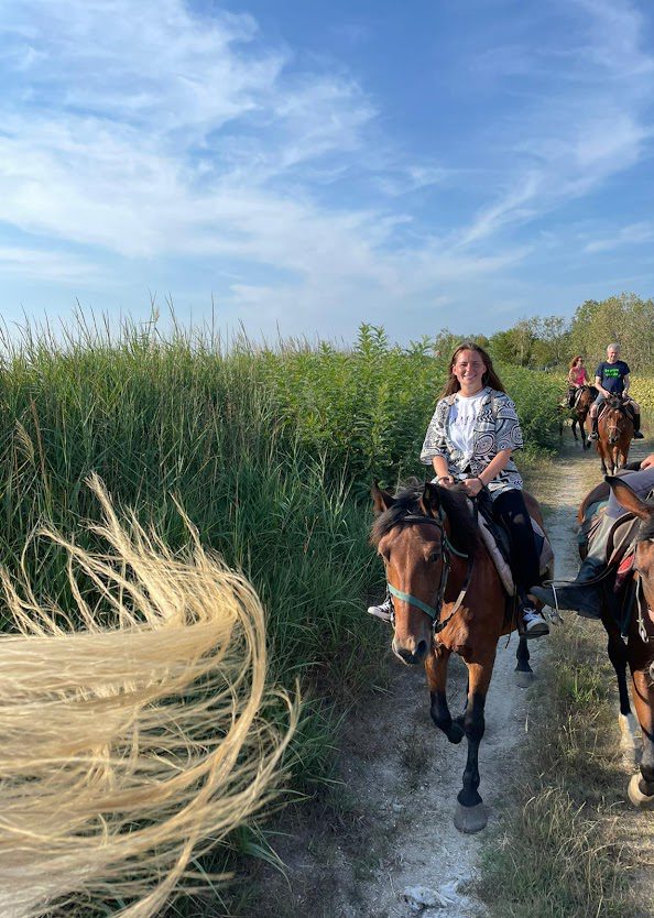 Passeggiata a cavallo - Severi Hotels - Minibus Garden Cervia