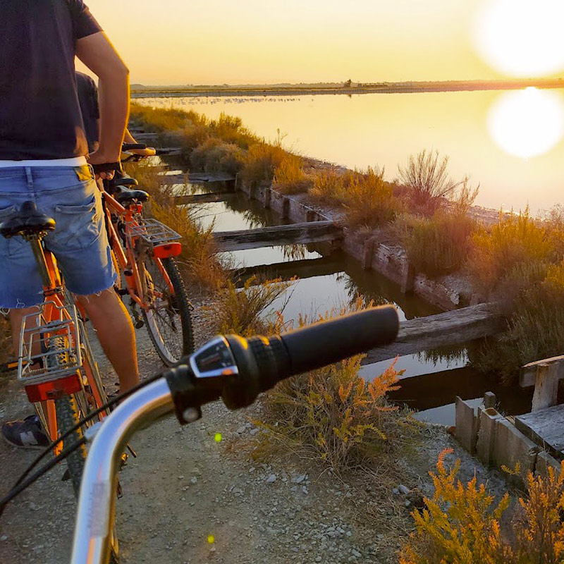 bici_roxy